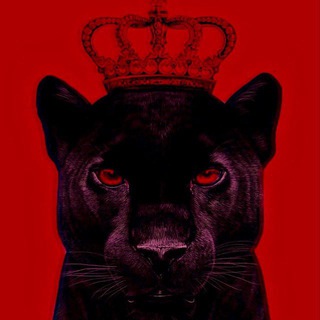 Telegram group profile photo for ВЗАИМНАЯ ПОДПИСКА | РЕАКЦИИ