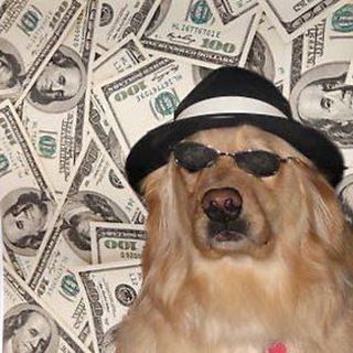 Telegram profile photo for Дай потратить