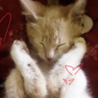 Telegram profile photo for Милые кружки в телеграмме