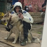 Telegram profile photo for FRATERNAL SoLo
