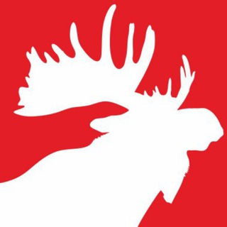 Telegram profile photo for BRAND ОДЕЖДЫ NashLosь