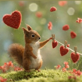 Telegram profile photo for Сильная и самодостаточная
