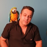 Telegram profile photo for طوطیسانان آوای وحش
