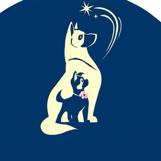Telegram profile photo for Клуб служебных собак в отставке «Звёздный Пёс»