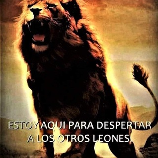 Telegram profile photo for Se tiene que decirlo ....