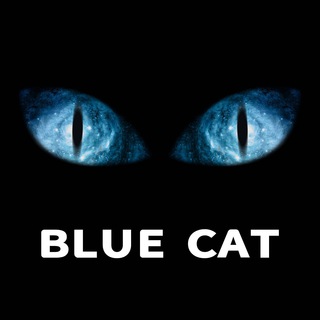 Telegram profile photo for 蓝猫查币