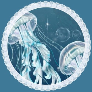 Telegram profile photo for 🐚 𝙼𝚘𝚙𝚌𝚔𝚘𝚞᷃ 𝚔𝚙𝚊𝚞᷃ ⚓️ᶰᵉʷˢ*