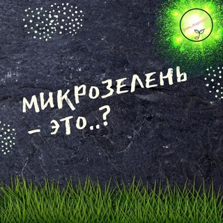 Telegram profile photo for Зелёный дракон