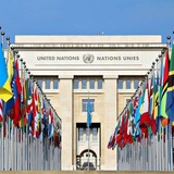 Telegram profile photo for International relations