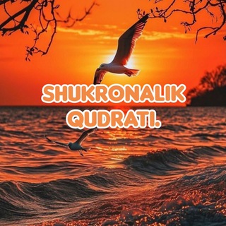 Telegram profile photo for SHUKRONALIK QUDRATI.