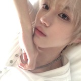 Telegram profile photo for чивава