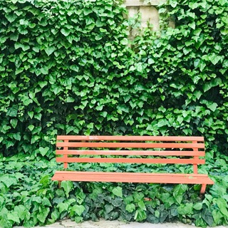 Telegram profile photo for گپ بچه های ایلام یونی