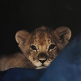 Telegram profile photo for طقم افتارات