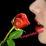 Telegram profile photo for کامنت کوتاه اینستاگرام🌹💞🔵💝♥️🖤❣💟💚😚