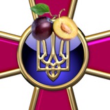 Telegram profile photo for СЛИВЫ ВСУ