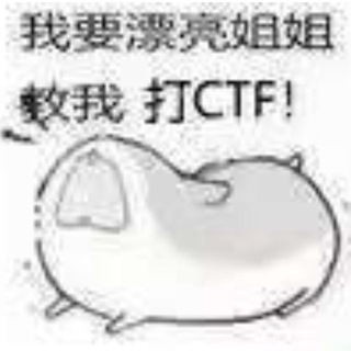 Telegram profile photo for 渗透日记