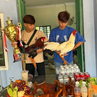 Telegram group profile photo for បក្សី កូនភ្លោះ ❤️