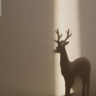 Telegram profile photo for ﮼مشمش 🦌✨.