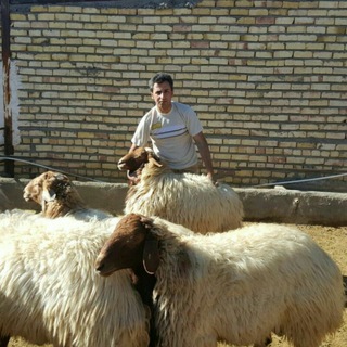 Telegram profile photo for مشاغل سودده حوزه پرورش جنوب کشور