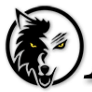Telegram profile photo for Black Wolf Channel