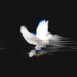Telegram profile photo for 𝙕𝙚𝙩𝙧𝙞𝙭 🩻