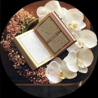 Telegram profile photo for هدوء الروح¦ قُرآن🌱