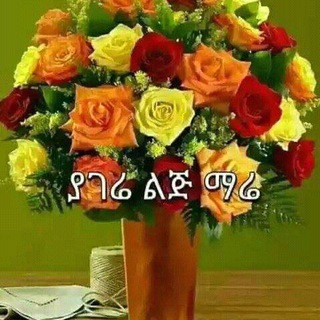 Telegram profile photo for DMU Burie Campas ከአባይ ጓዳ