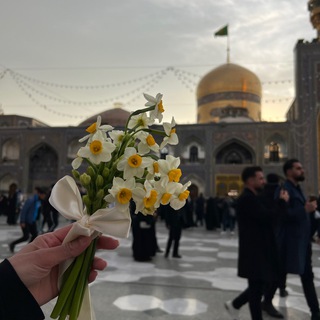 Telegram profile photo for ضوءُ | زهَر .