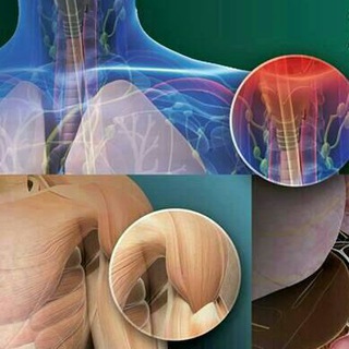 Telegram profile photo for Medical Applications APK