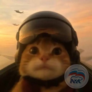 Telegram profile photo for Традиционное Левачество