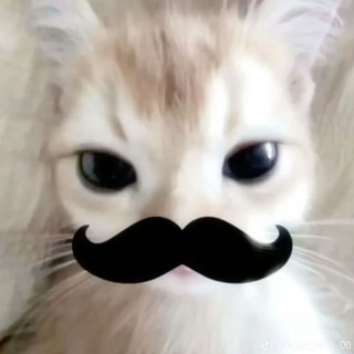 Telegram profile photo for Адоллис