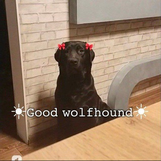 Telegram profile photo for 🐶Добрый волкодав🐶