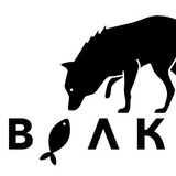 Telegram profile photo for Volki