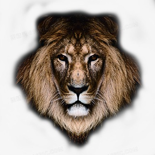 Telegram profile photo for Golden Buddha _Trading Channel