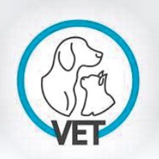 Telegram profile photo for Vet Library (Books and Notes)
