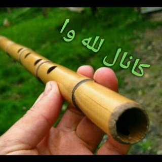 Telegram profile photo for لَلِـه وا