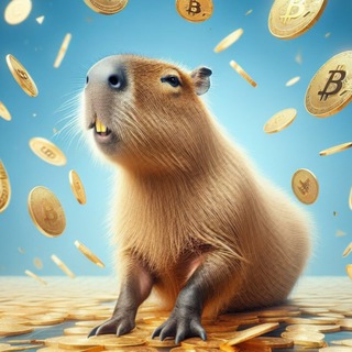Telegram profile photo for All In One Crypto🔥