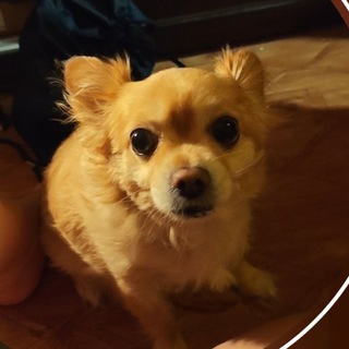 Telegram profile photo for эМ ОК