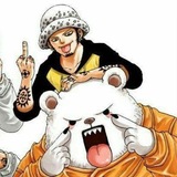 Telegram profile photo for trafalgar law