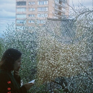 Telegram profile photo for Волшебная Гора