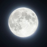 Telegram profile photo for do not subscribe