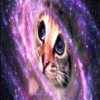 Telegram profile photo for .k?t$s