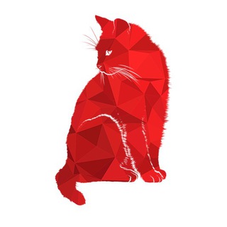 Telegram profile photo for CoderLIfe