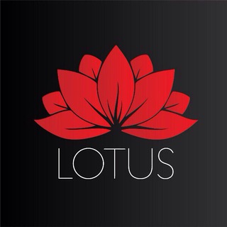 Telegram profile photo for Lotus Agency - Работа за границей