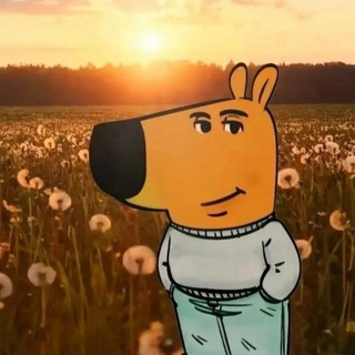 Telegram profile photo for Marius