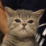 Telegram profile photo for Juliesecc