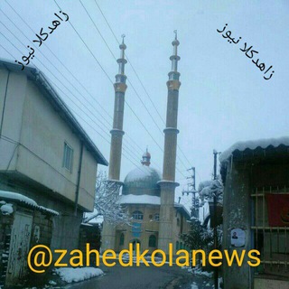 Telegram profile photo for زاهدکلا نیوز