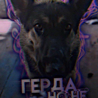Telegram profile photo for Гᴇᴩдᴀ🌷