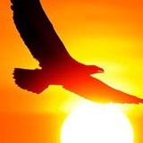 Telegram profile photo for بـــشـــ📡ــــارتـــــی