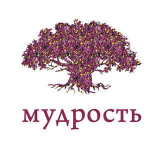 Telegram profile photo for Толдот — мудрость дня
